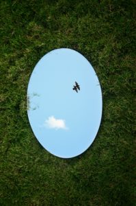 photo of mirror lying on the grass, reflecting birds in a blue sky